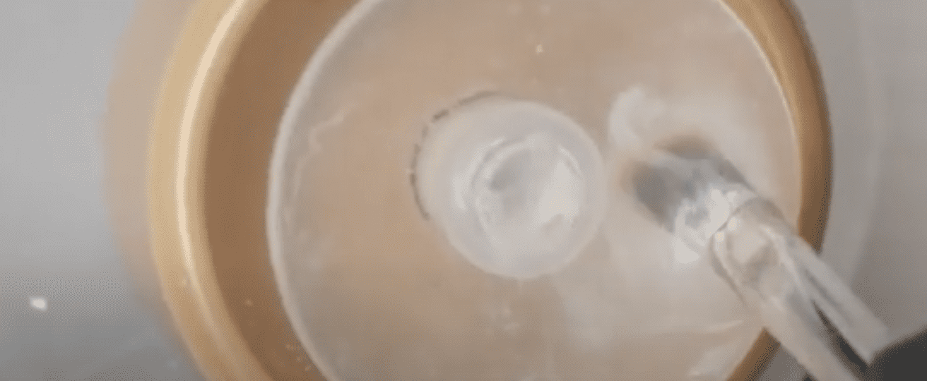 How to Properly Clean Your Gel Nail Brushes Paola Ponce Nails